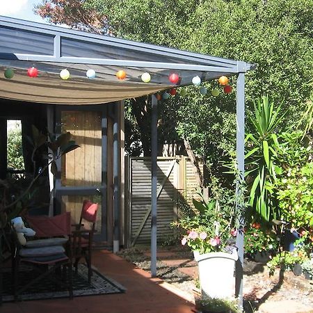Kotuku Bed & Breakfast Whangamata Eksteriør billede